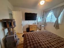 31/2 apartment 1 bedroom 1 bathroom kitchen and living room - Photo 7