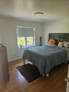 Large Private Room, Private Bath North/Milledgeville Saint John - Photo 3