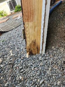 Exterior Door - Photo 4