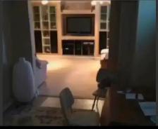 Furnished 2BR Basementsuite $1200 or Single Room $600 on sharing - Photo 2