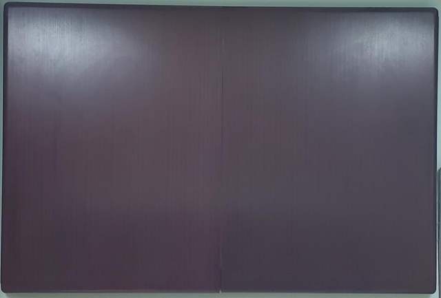 Executive Presentation Cabinet