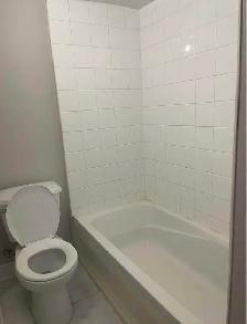 3 Bed 2 Washroom 2 parking Near morning side and lawrence - Photo 7