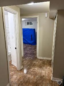 Two Bedroom Basement for Rent in Etobicoke - Photo 8