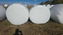 Individualy Wrapped Oat Silage Bales