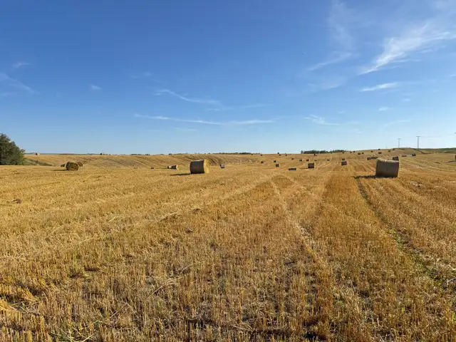 180 Greenfeed Bales