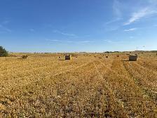 180 Greenfeed Bales