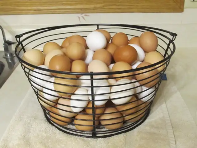 Fresh Farm Eggs