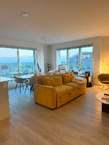 COUP DE CŒUR – 4½ AlterEGO Brossard | Vue, lumière et 1 160 pi² - Photo 3
