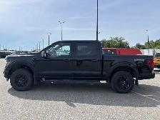 2024 Ford F-150 XLT FX4 SuperCrew 5.5' Box 4WD | One Accidents