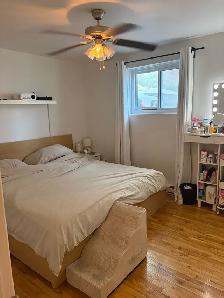 4 1/2 à Louer - Longueuil - 2 chambre, 1 salle de bain - Photo 3