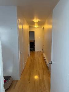4 1/2 à Louer - Longueuil - 2 chambre, 1 salle de bain - Photo 8