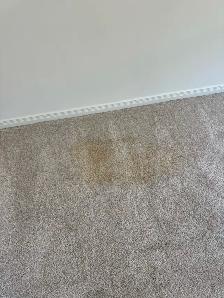 Cleaners For Hire - Photo 4