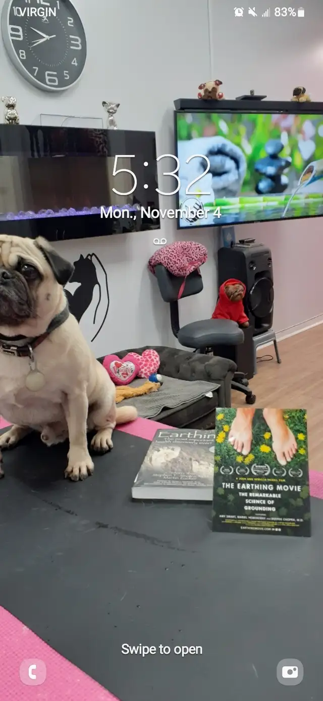 PET GROOMING SELF EMPLOYMENT