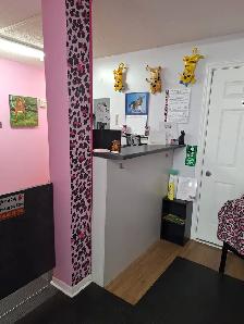 PET GROOMING SELF EMPLOYMENT - Photo 2