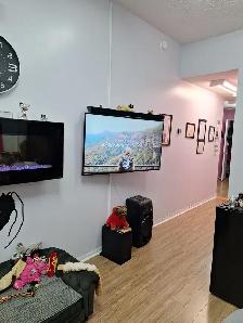PET GROOMING SELF EMPLOYMENT - Photo 3
