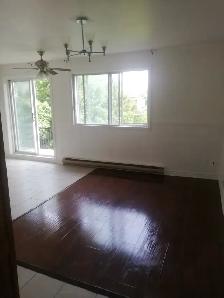 Appartement 3 1/2 pour location 1er octobre Montréal-Nord - Photo 2