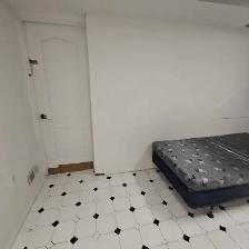 BACHELOR BASEMENT WITH PRIVATE WASHROOM - MALTON - Photo 2