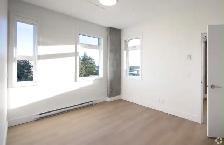 2 Bed 2 Bath Apartment - Photo 4