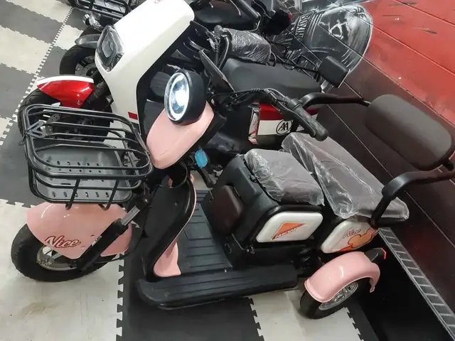 Electric 3 wheeler