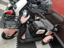 Electric 3 wheeler