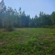 Cute country home on 30 acres of land in Neebing, ON ! - Photo 11