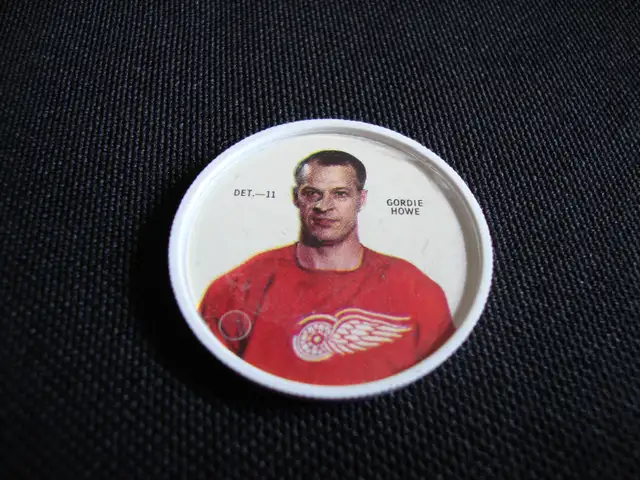 Gordie Howe 1968-69 Shirriff