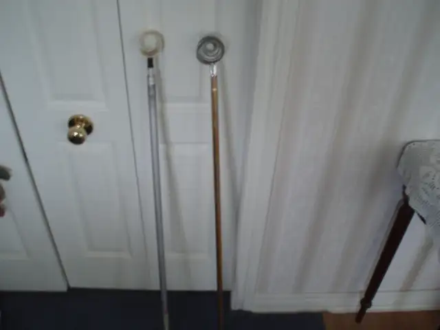 GOLF BALL RETREIVER