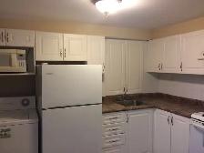Large ONE Bedroom Basement Unit @Don Mills/Sheppard - Photo 3