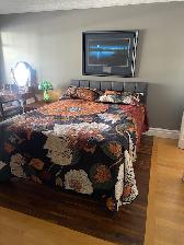 Queen Size Bed and Headboard  $150
