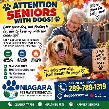 ATTENTION SENIORS WITH DOGS!