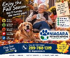 ATTENTION SENIORS WITH DOGS! - Photo 2