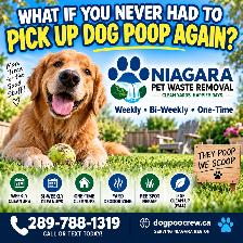 ATTENTION SENIORS WITH DOGS! - Photo 3