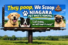 ATTENTION SENIORS WITH DOGS! - Photo 4