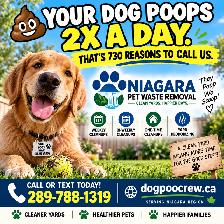 ATTENTION SENIORS WITH DOGS! - Photo 5
