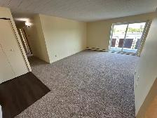 2 Bedroom in Niagara Falls (Chippawa) - Photo 2