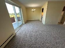 2 Bedroom in Niagara Falls (Chippawa) - Photo 3