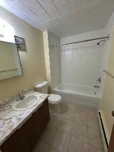 2 Bedroom in Niagara Falls (Chippawa) - Photo 8