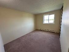 2 Bedroom in Niagara Falls (Chippawa) - Photo 10