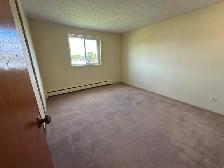2 Bedroom in Niagara Falls (Chippawa) - Photo 12