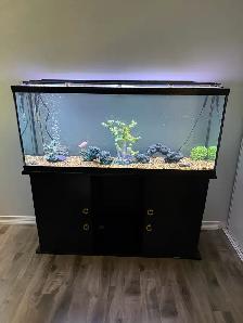 55 Gallon aquarium tank with all the equipment Need it gone