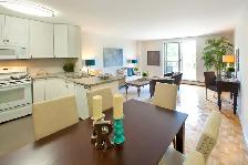 North St. Catharines Bachelor Apartment for Rent! - Photo 5
