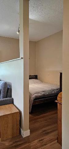 FULLY FURNISHED ALL INCLUSIVE ONE BEDROOM GARDEN LEVEL SUITE
