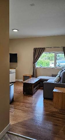 FULLY FURNISHED ALL INCLUSIVE ONE BEDROOM GARDEN LEVEL SUITE - Photo 2