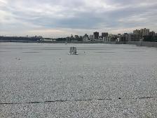 Roofing Laborer - Photo 5