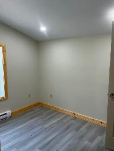 Year Round Waterfront, Lake House for rent - Photo 12
