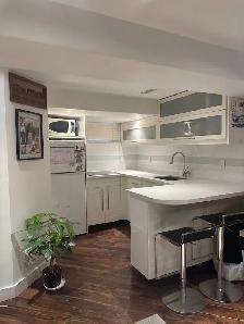 1 BEDROOM BASEMENT APARTMENT IN HIGH PARK/ JUNCTION - Photo 2