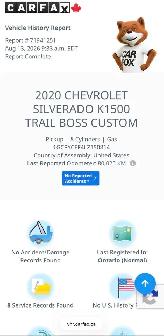 2020 Chevrolet Silverado 1500 Crew Cab Custom Trail Boss Z 71 4W - Photo 3