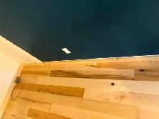 Moulding/trims INSTALL and supply if needed BRAND NEW primed TRI - Photo 3