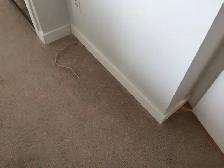 Moulding/trims INSTALL and supply if needed BRAND NEW primed TRI - Photo 5