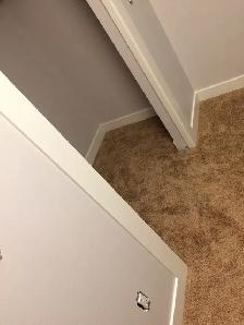 Moulding/trims INSTALL and supply if needed BRAND NEW primed TRI - Photo 6